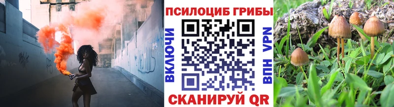 Псилоцибиновые грибы мухоморы  цены наркотик  Ковдор 